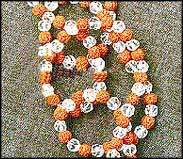 astrology Career Report 2013